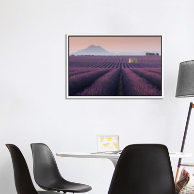 Lavender Fields Of Provence III by Daniel Kordan - Print on Canvas