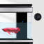 Grand aquarium rectangulaire noir minimaliste-106973604