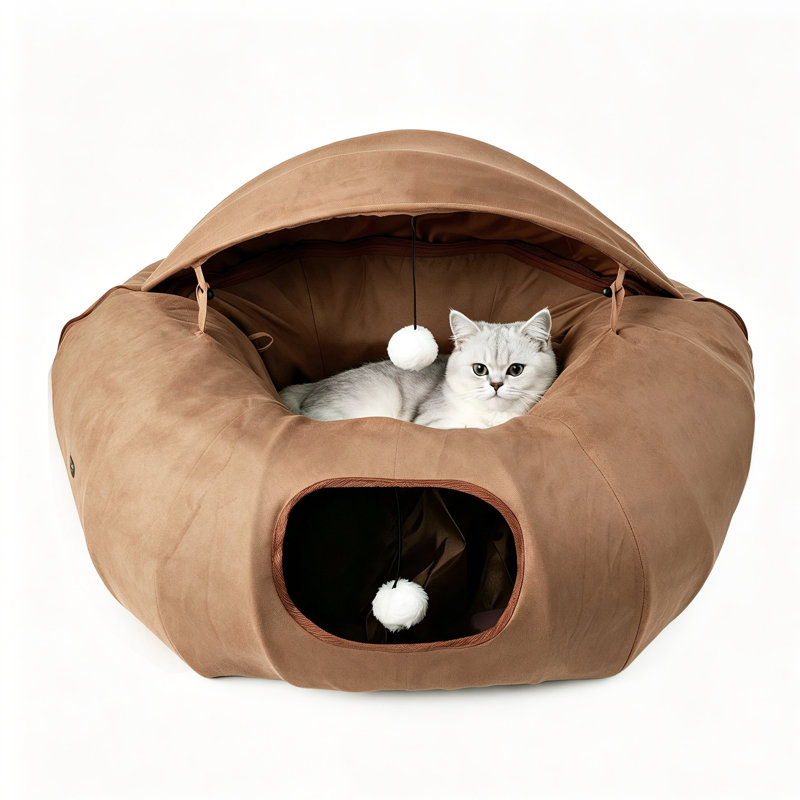 Agneau, chat, beignet, tunnel, brun clair, Tanné