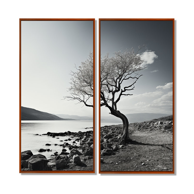 Magnifique arbre noir et blanc, photographie sur lac - Grand lac, 20" H x 24" W, Impression encadrée flottante, Brown
