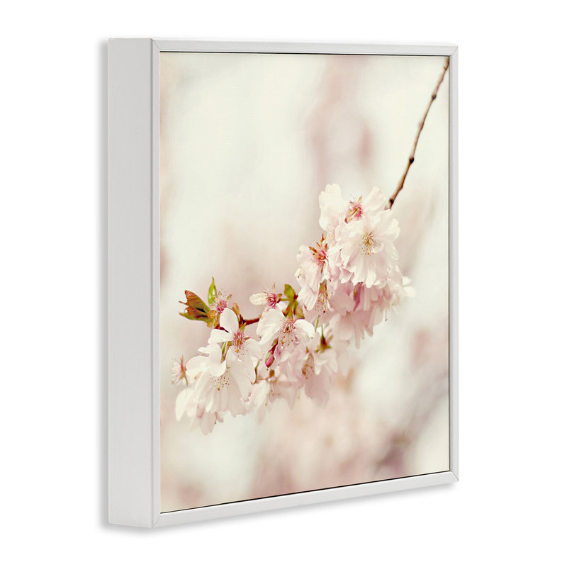 «Delicate Cherry Blossom», estampe numérique encadrée par Sarah Gardner, Estampe numérique encadrée blanc bord de mer