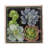 6'' Faux Succulent in Manufactured Wood Pot