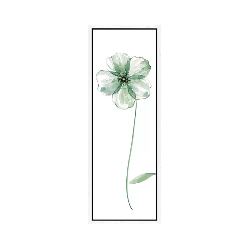Sage Flower II by Carol Robinson - Panoramic Painting on Canvas, White Framed, 30.48 cm H x 91.44 cm W