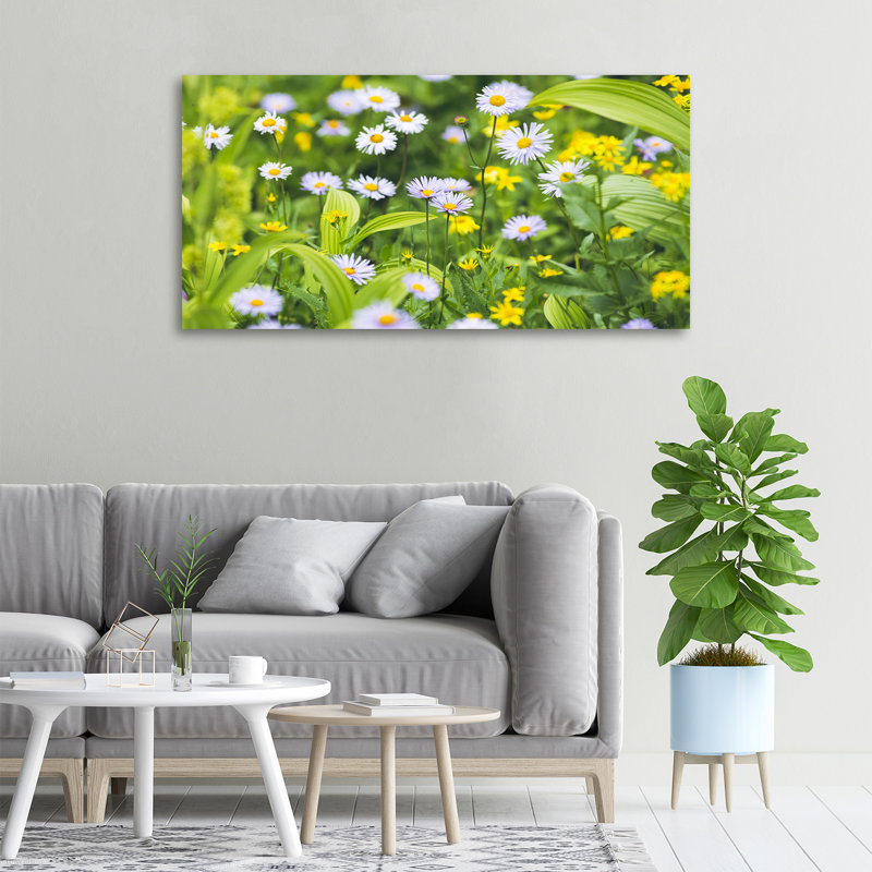 Daisies - Wrapped Canvas Print, 50cm H X 100cm W