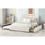 Upholstered Platform Bed With  Trundle And Two Drawers-168816082