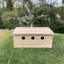 Sparrow Colony Terrace Wooden Mounted Bird House
