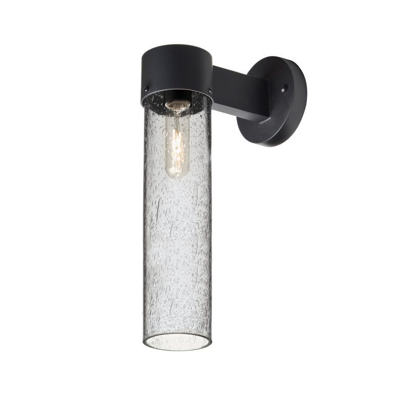 Cattalina Wall Light, Clear, 17.5" H x 5" W x 8.5" D, Black