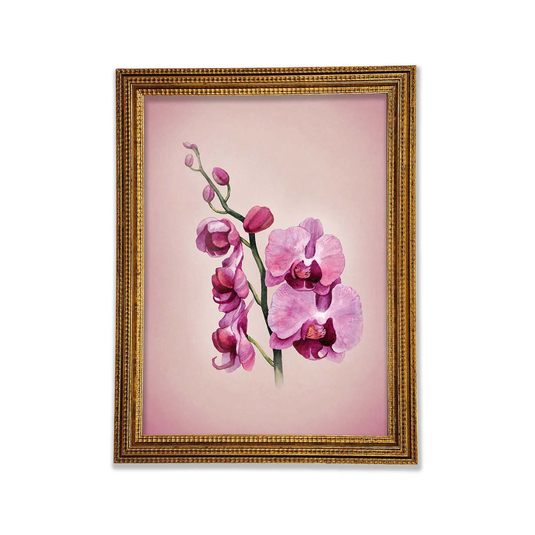 Glasbild Pink Orchid