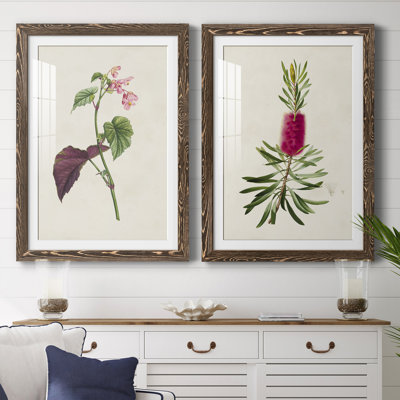 Pretty Pink Botanicals VI - Ensemble de 2 reproductions de cadres photo
