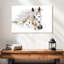 Brampt Appaloosa Beauty-107696938