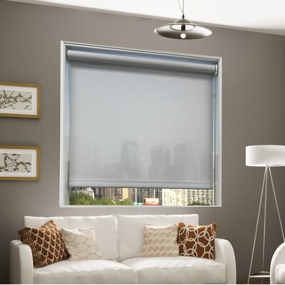 Ebern Designs Semi Sheer Roller Shade & Reviews | Wayfair