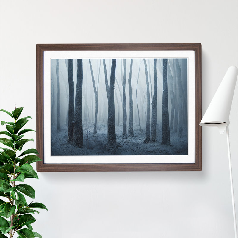 Tremendous Winter Forest - Single Picture Frame Print, 25cm H x 34cm W x 2cm D, Walnut