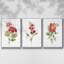 Ensemble de 3 pièces encadrées sur toile géranium écarlate-97706596-97706595
