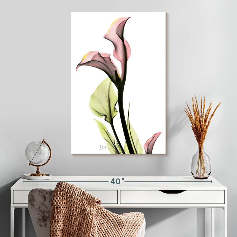 Harnek délicat, lis Calla, H 30 po x l 20 po