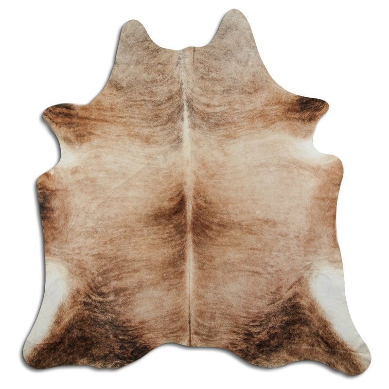Beige Brindle Defeo