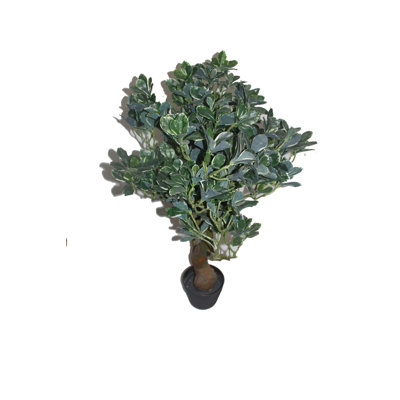 36'' Faux Bonsai Tree in Pot