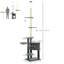Grady 673.1cm H Cat Tree