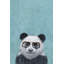 Studious Panda - Wrapped Canvas Painting-34927201