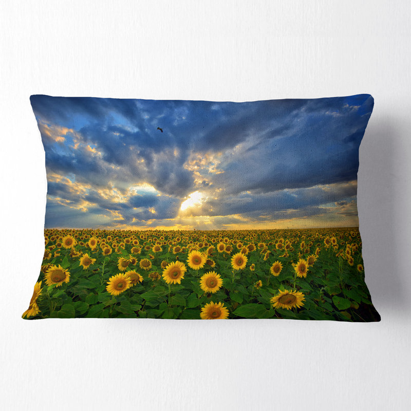 Coussin Beauty Sunset