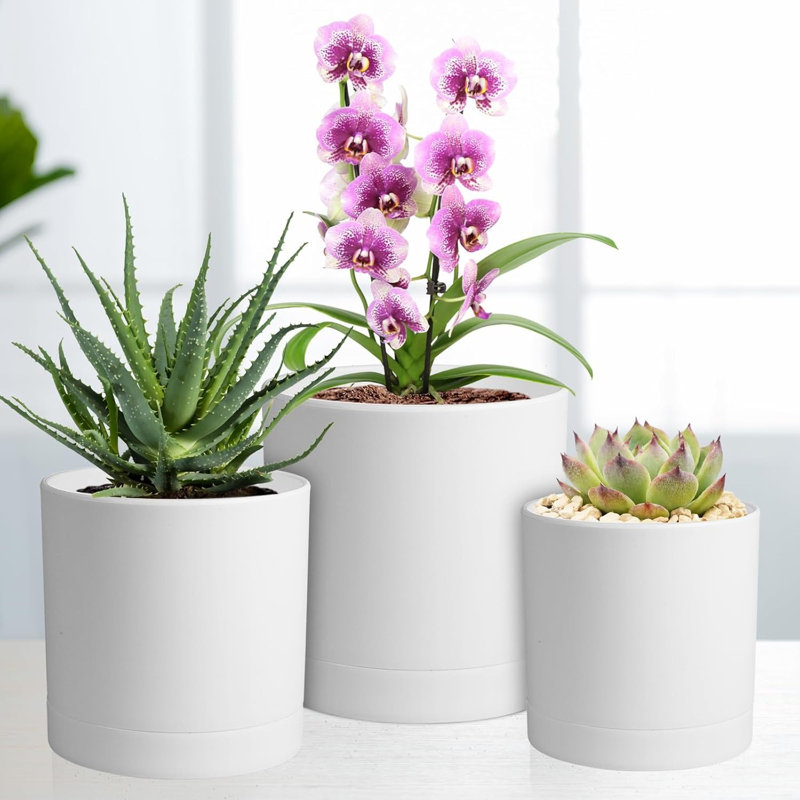 Paquet de 5 pots de plantes en plastique blanc 7 / 6,5 / 6/5/4 pouces