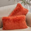 Housses de coussin à poils longs Cheer Collection-111989339-100538751-100538748