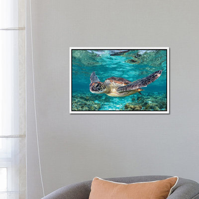Learn To Fly by Jordan Robins - Print on Canvas