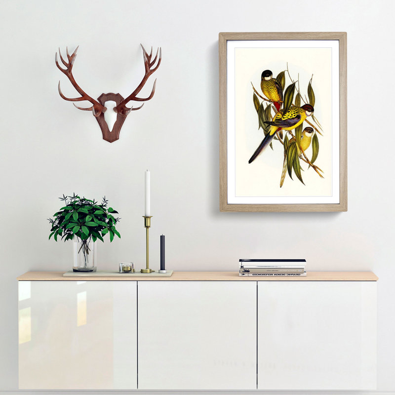 Brown's Parakeets by Elizabeth Gould - Picture Frame Art Print, Oak Framed, 65cm H x 48cm W x 2cm D