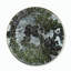 Silver Leaf Floral Print