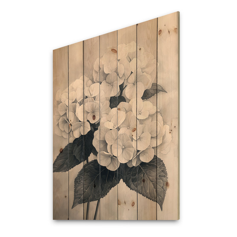Vintage Hydrangea In Monochrome II - Hydrangea Wood Print - On Natural Pine Wood, 44" H x 34" W x 0.78" D