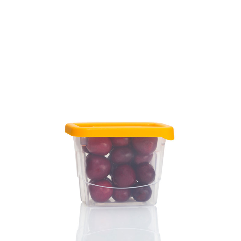 Food Storage Container