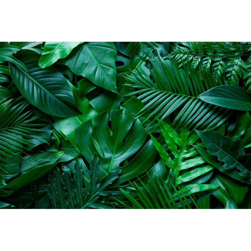 Tropical Green Monstera and Palms Leaf Background 1 Piece Wrapped Canvas Wall Art, 61cm H x 91cm W
