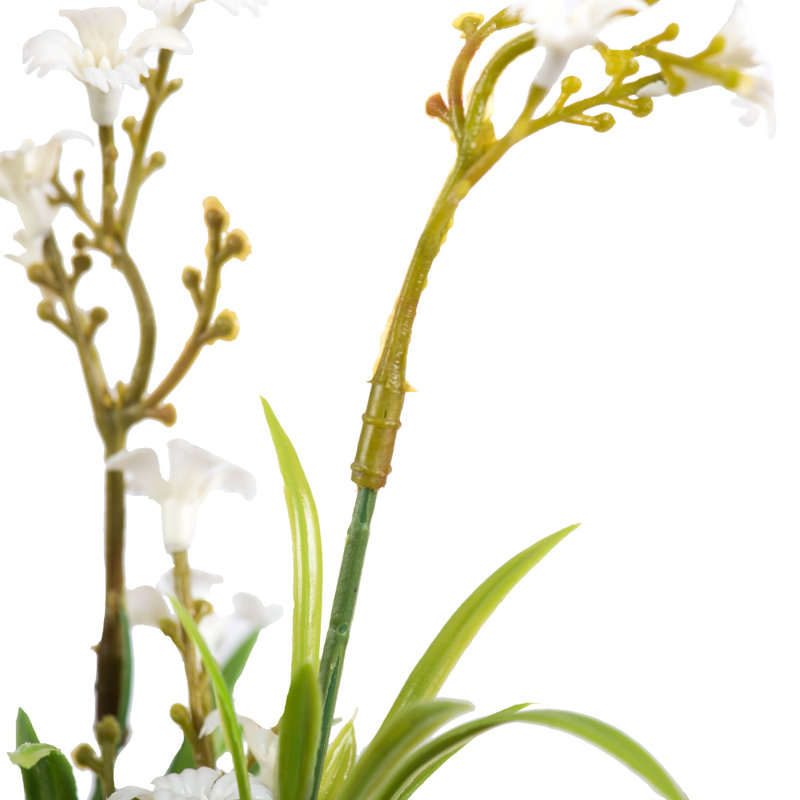 Mixed Arrangement