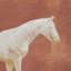 "Même cadence" par Eadvin Muybridge