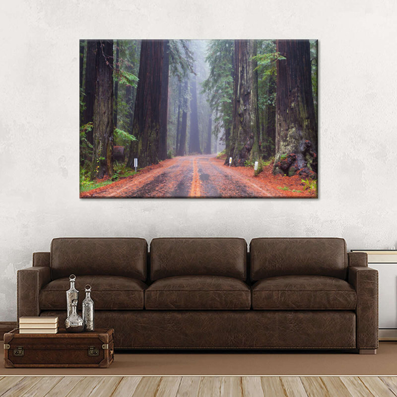 " Road To A Redwood Forest Canvas Print ", 32" H x 48" W x 1.25" D