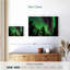 Alvord Fairbanks Aurora Borealis-107683198