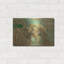«Bear Market» par Ethan Harper-1580502182