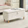 Dayvian 39.3" Storage Ottoman Bench for End of Bed