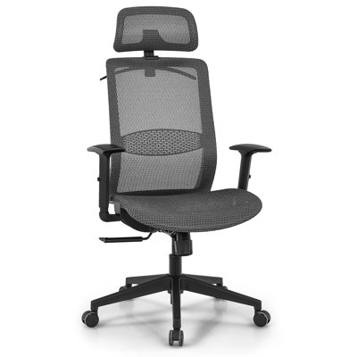 Jnasia Ergonomic Office Chair