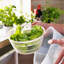 Belfry Kitchen Fareham Plastic Salad Spinner