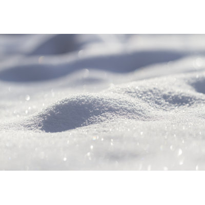 Sparkling Snow - Wrapped Canvas Print