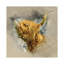 « Spring Air II » par Mark Gemmell-impression d’art graphique-54035887-54035889-54035891