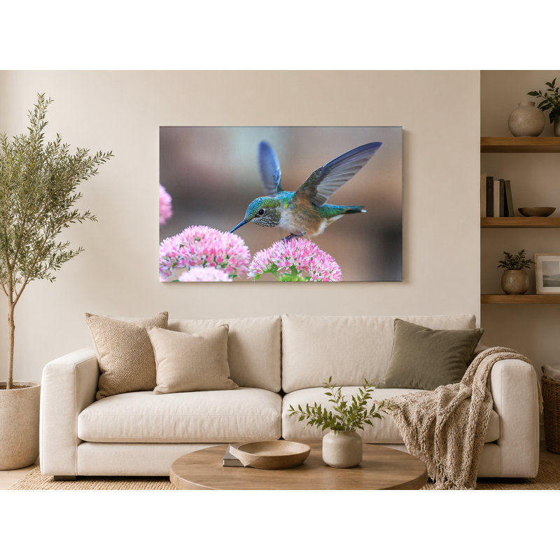 Hummingbird at Pink Blossoms - Art mural sur toile paysage, 36" W x 24" H