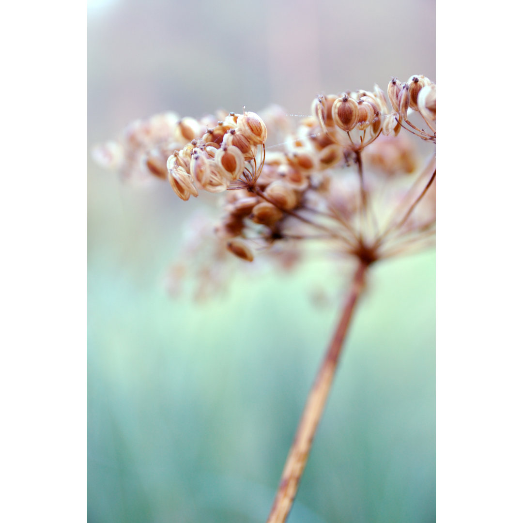 Morning von Vidka - Kunstdrucke auf Leinwand - Wrapped Canvas