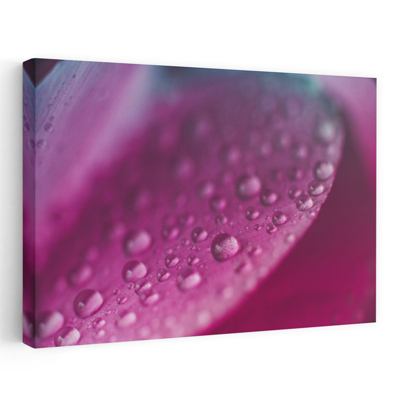 «Rose Petal Water Drops Abstract Delicate Vibrant Flower Nature», reproduction d'art murale, 32" H x 48" W