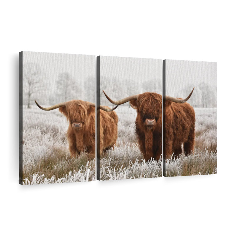 Poilu Highland Cows 3 pièces, H 36 po x l 57 po x P 1,25 po