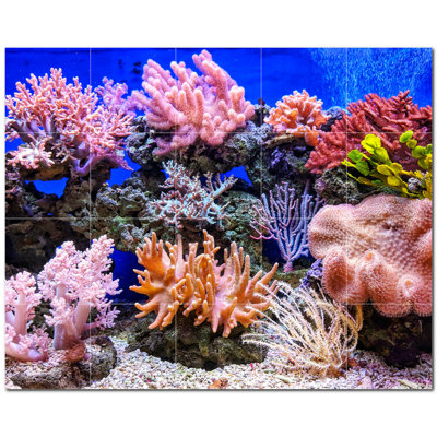 Corail photo 8 x 8