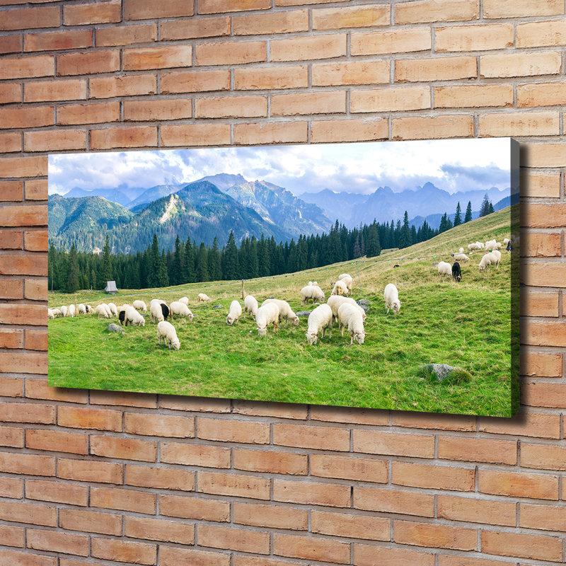 Sheep in the Tatras 1 Piece Wrapped Canvas Wall Art