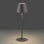 Faison 38cm Outdoor/indoor Rechargeable Cable free LED Buffet Lamp-36847917