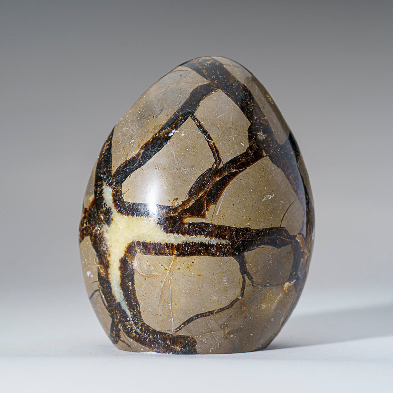 Polished Septarian Freeform From Madagascar (2 Lbs)