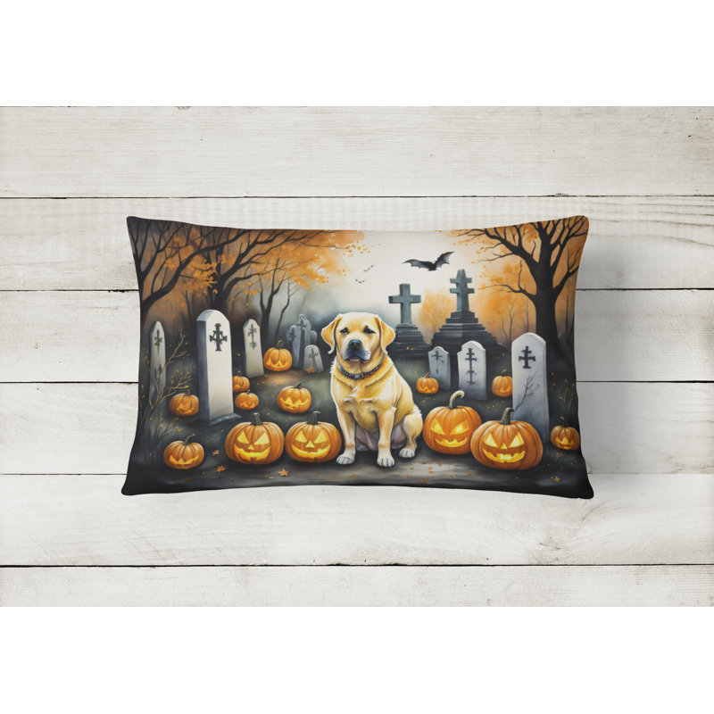 Other/No Pattern Outdoor Throw Pillow